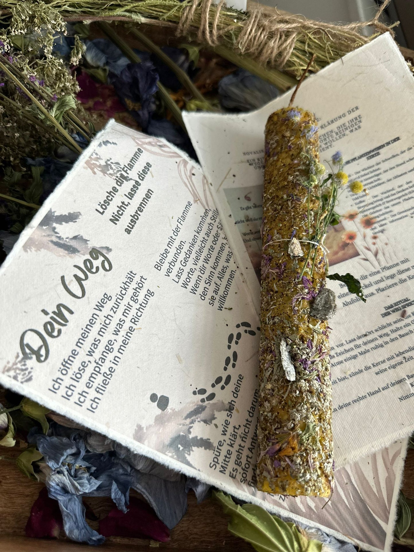 NOVALIS - Erleuchtete Kommunikation (Ritualkerze Gelb/Kräuter)